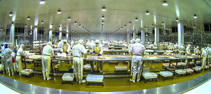 250-����˳-ca88���Źٷ���վ�⼦֧�⳵��