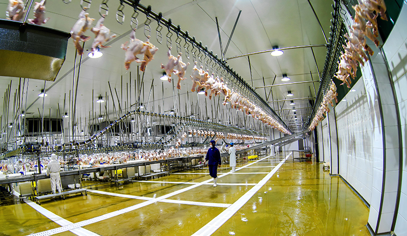 250-����˳-ca88���Źٷ���վ�⼦�ӹ�����(1)