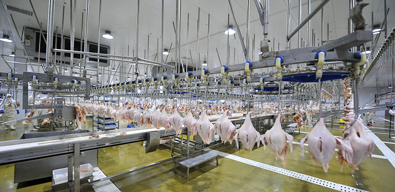 ca88���Źٷ���վ�⼦����������(1)