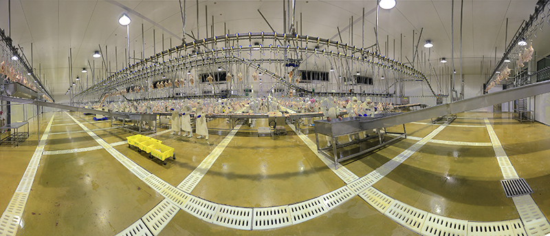 �׺�-ca88���Źٷ���վʳҵ�ִ����⼦������(1)