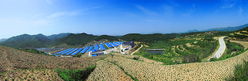 �׺�-ca88���Źٷ���վʳҵ�ִ������ּ���